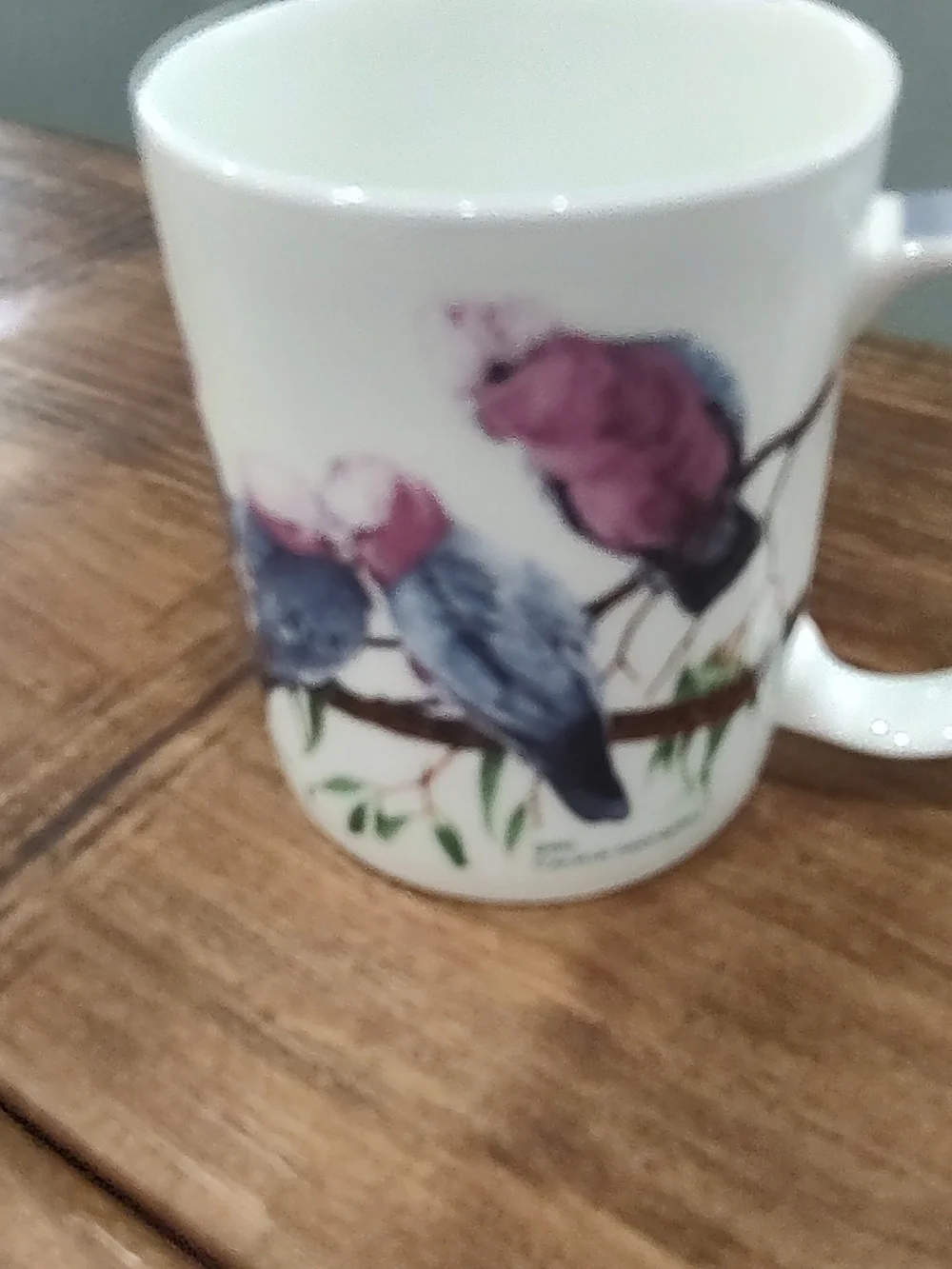 Bird Of Australia Collection Mug By Natalie Jane Parker